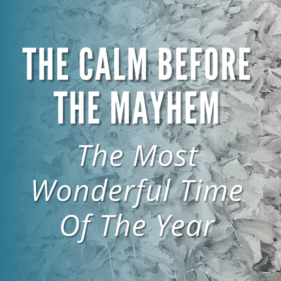 Blog Post: The Calm Before The Mayhem (The Most Wonderful Time Of The Year)